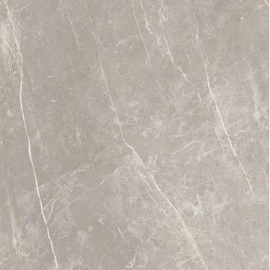 Elemental Stone Grey dolomia Lucido Ret. 120x120