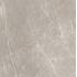Elemental Stone Grey dolomia Lucido Ret. 120x120