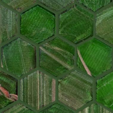 Hexagonal Hex 236 Opaque 28.4x29.6
