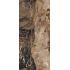 Les Bijoux de Rex Jaspe rouge Glossy Ret. 120x280