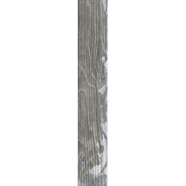 Kentucky Lexington Nat. 6.5x40