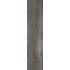 Fossil Lines Piombo Naturale Ret. 30x120