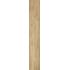 Acanto Miele Naturale Ret. 20x120