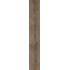 Ca Foscari Moro Nat. Ret. 20x120