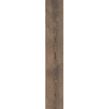 Ca Foscari Moro Nat. R11 Ret. 20x120