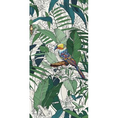 Imagine Naif Naturale Ret. 60x120