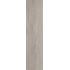 Newport 2.0 New Birch Naturale Ret. 30x120