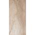 Duomo Noce Naturale 20x40
