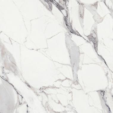 Les Origines de Rex Origines argent Matte Ret. 120x120