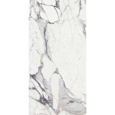 Les Origines de Rex Origines argent Matte Ret. 120x240