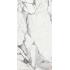 Les Origines de Rex Origines argent Matte Ret. 120x240
