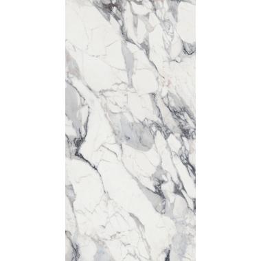 Les Origines de Rex Origines argent Matte Ret. 160x320