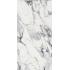 Les Origines de Rex Origines argent Glossy Ret. 160x320