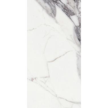 Les Origines de Rex Origines argent Matte Ret. 60x120