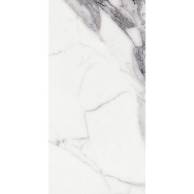 Les Origines de Rex Origines argent Glo Ret. 60x120