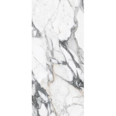 Les Origines de Rex Origines argent Matte Ret. 80x180