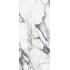 Les Origines de Rex Origines argent Matte Ret. 80x180
