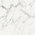 Les Origines de Rex Origines blanc Matte Ret. 120x120