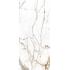 Les Origines de Rex Origines or Matte Ret. 80x180