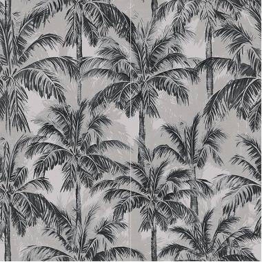 Showall Palm Beach Naturale Ret. Comp. 2 Pz 120x120