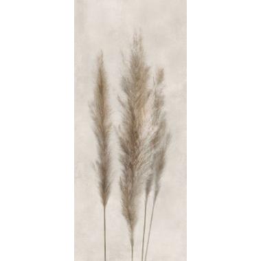 Deco Solutions Pampa Matt Ret. 120x278