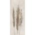 Deco Solutions Pampa Matt Ret. 120x278