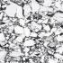 B&W_Marble Pebble Naturale Ret. 60x60