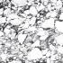 B&W_Marble Pebble Naturale Ret. 80x80