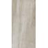 Wide Gres 240 Pietra Valmalenco Grigio Naturale Ret. 120x240