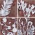Materia Prima Red Naturale Inserto S4 20x20