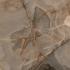 Reves de Rex Reve choco Glossy Ret. 60x60