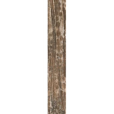 Kentucky Sassafras Nat. 6.5x40