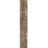 Kentucky Sassafras Nat. 6.5x40