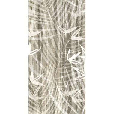 Imagine Shadow leaves Naturale Ret. 60x120