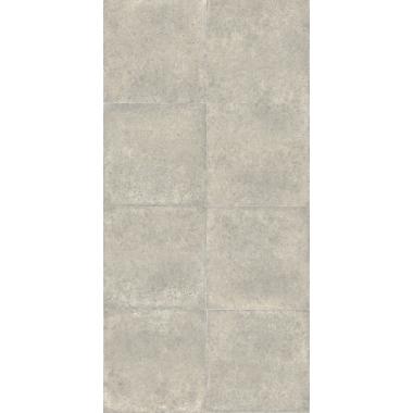 Agglomerate Shell Natural Ret. 60x120 8.8mm