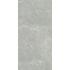 Exalt Silver light Lucido Ret. 60x120