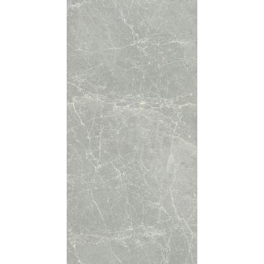 Exalt Silver light Naturale Ret. 60x120
