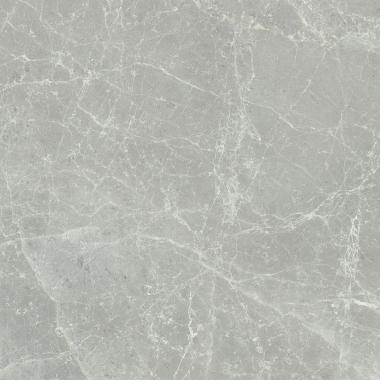 Exalt Silver light Naturale Ret. 60x60