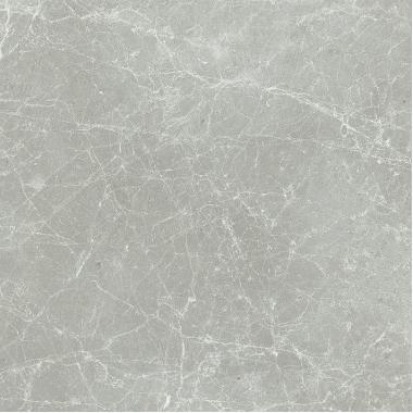 Exalt Silver light Lucido Ret. 80x80