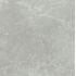 Exalt Silver light Lucido Ret. 80x80