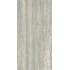 Iconica Silver Verso Antique 60x120 R10B. Matt. Ret.