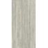 Iconica Silver Verso 60x120 R10B. Matt. Ret.