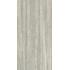 Iconica Silver Verso 60x120 Aextra 20mm R11C. Ret.