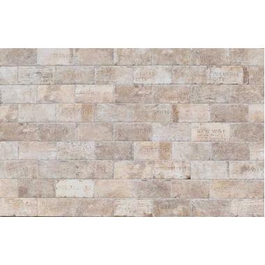 Chicago South Side Nat. City Mix 10x20