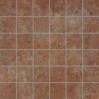 Imago Spadix Lappato Lap. Ret. Mosaico Su Rete 5-5 30x30 12mm
