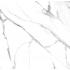 Statuario Splendente Statuario Splendente Naturale Ret. 120x120