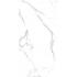 Statuario Splendente Statuario Splendente Slab A Lappato Lap. Ret. 120x240