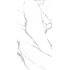 Statuario Splendente Statuario Splendente Slab A Lappato Lap. Ret. 160x320
