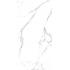 Statuario Splendente Statuario Splendente Slab B Lappato Lap. Ret. 120x240