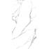 Statuario Splendente Statuario Splendente Slab B Lappato Lap. Ret. 160x320